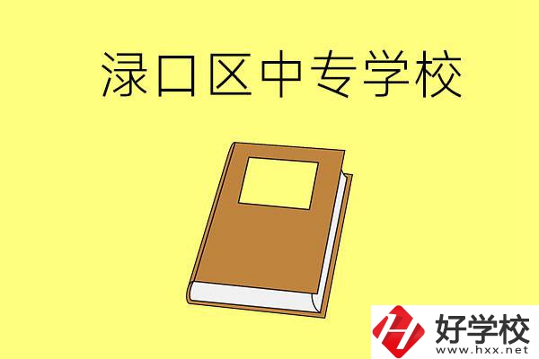 株洲縣淥口區(qū)有什么中專學(xué)校？