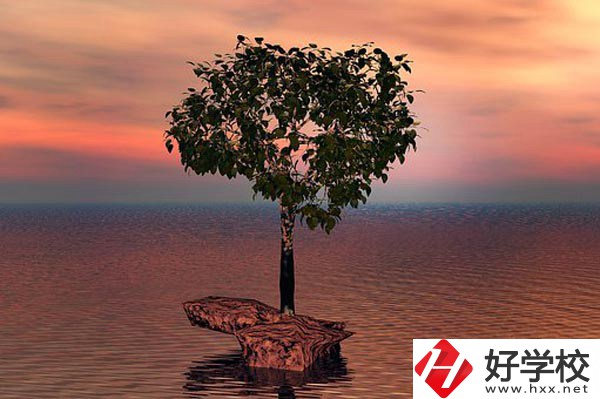 湖南省中南藝術(shù)學(xué)校收費標(biāo)準(zhǔn)怎么樣？