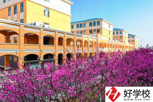 湖南省隆回縣職業(yè)中等專業(yè)學校有哪些辦學特色？
