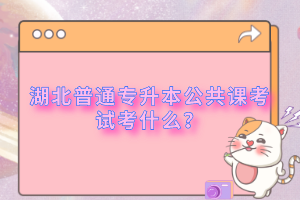 湖北普通專升本公共課考試考什么？
