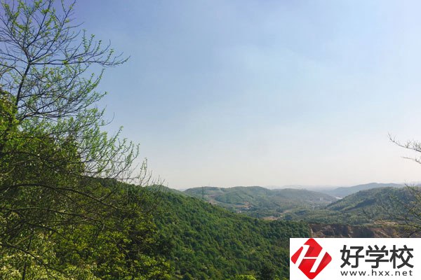 株洲人工智能職業(yè)技術(shù)學(xué)校哪個專業(yè)更好？