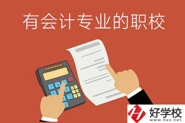 株洲哪些公立職校有會(huì)計(jì)專業(yè)？