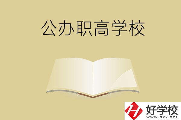 懷化公辦的職高學(xué)校有哪些？