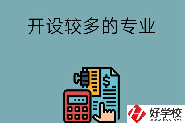 湖南的中職學(xué)校開設(shè)較多的專業(yè)是哪些？