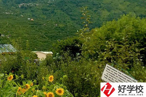 長沙公辦中職學校好不好？都有哪些學校？