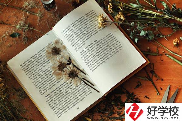 張家界市高級技工學校是公辦院校嗎？有哪些專業(yè)？