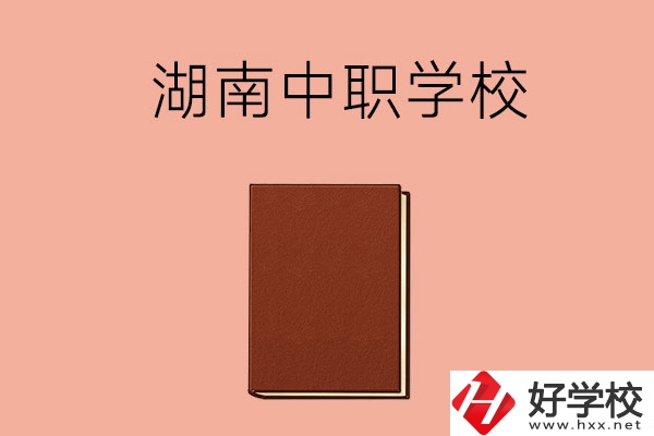 湖南有哪些就業(yè)率比較高的中職學校？