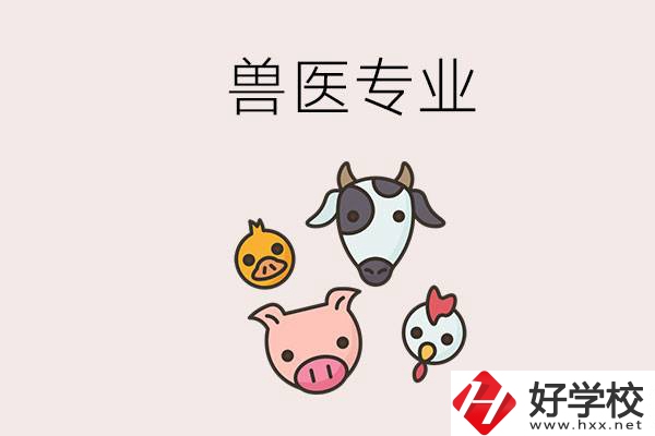 湖南哪些職校能學(xué)獸醫(yī)專業(yè)？學(xué)獸醫(yī)前景怎么樣？