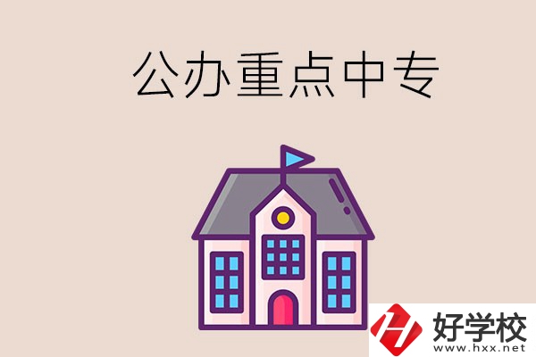 湖南重點(diǎn)中專學(xué)校里哪些是公辦的？