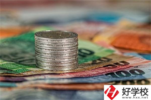 湖南職校會(huì)計(jì)電算化專業(yè)怎么樣？就業(yè)前景好不好？