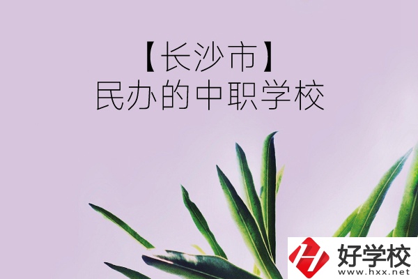 長沙市有哪些民辦的中職學校？