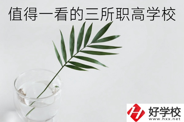 湖南有什么好的職高學(xué)校？這3所學(xué)校值得一看！