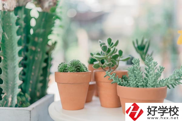 瀏陽(yáng)市三聯(lián)工業(yè)學(xué)校辦學(xué)條件怎么樣？