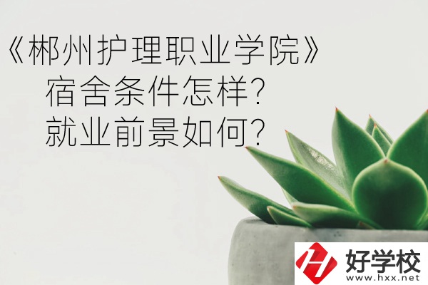 郴州護(hù)理職業(yè)學(xué)院宿舍條件怎樣？就業(yè)前景如何？