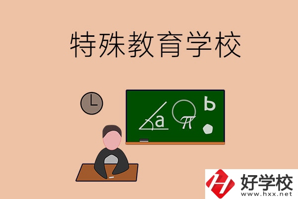湖南省有哪些特殊教育學(xué)校？