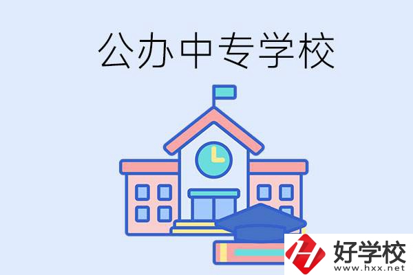 湘西一共有多少所公辦的中專學(xué)校？