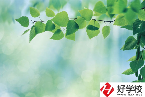 永州工商職業(yè)中等專業(yè)學校哪些是特色專業(yè)？好就業(yè)嗎？