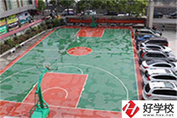 龍山縣技工學?；@球場