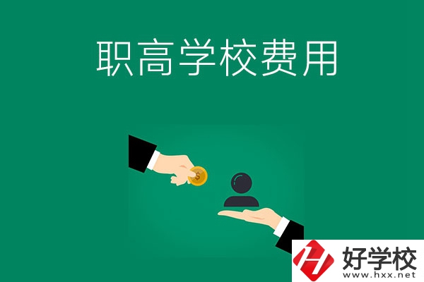 上懷化的公立職高學(xué)校要多少費用？