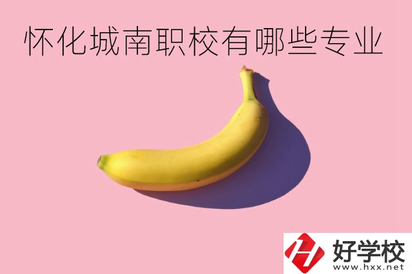 懷化城南職業(yè)學(xué)校有哪些專業(yè)？學(xué)校好不好？