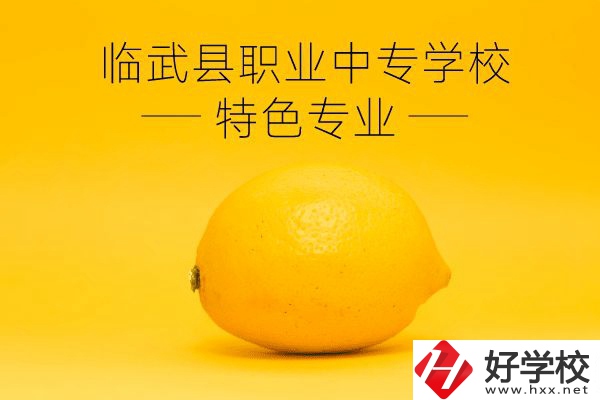 臨武縣職業(yè)中專學(xué)校好嗎？有哪些特色專業(yè)？