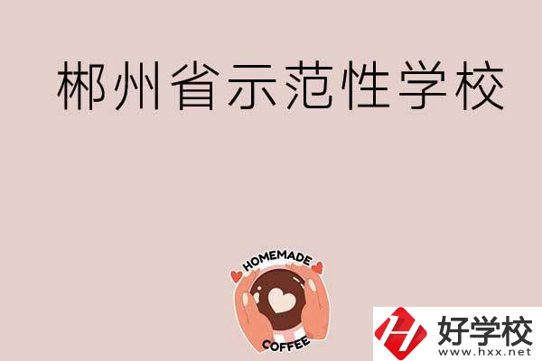 郴州有省示范性的公辦中職學(xué)校嗎？