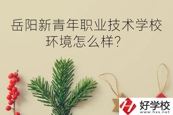 岳陽新青年職業(yè)技術(shù)學(xué)校好不好？環(huán)境怎么樣？