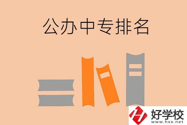 湘潭公辦中專排名前五的是哪些？