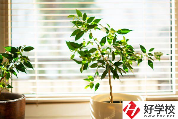 湖南省商業(yè)技師學院有哪些教學特色？報考有何要求？