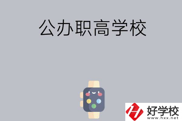 長沙哪些公辦職高學校比較有特色？