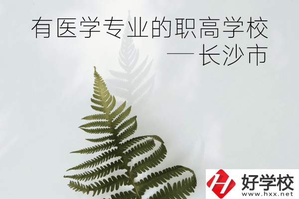 長沙市哪些職高學(xué)校有醫(yī)學(xué)專業(yè)？