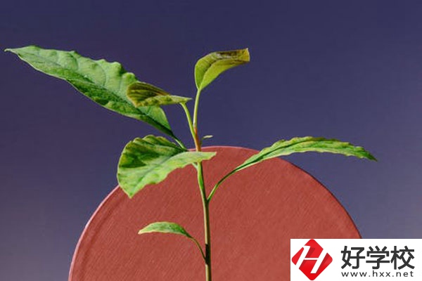 株洲市工業(yè)中等專校怎么樣？好不好？