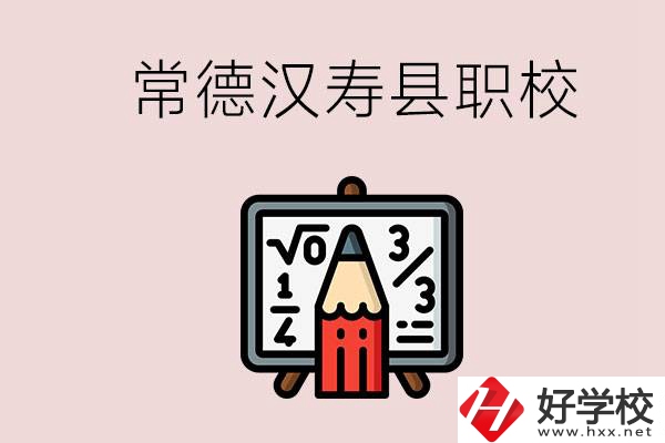 常德的漢壽縣有什么職校？是公辦的嗎？