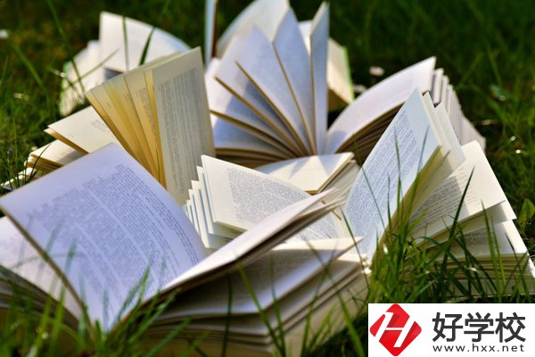 中方縣職業(yè)中等專(zhuān)業(yè)學(xué)校有什么專(zhuān)業(yè)？好不好？
