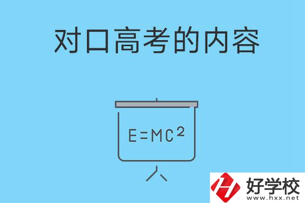 湖南職高對(duì)口高考主要考什么內(nèi)容？難度大不大？