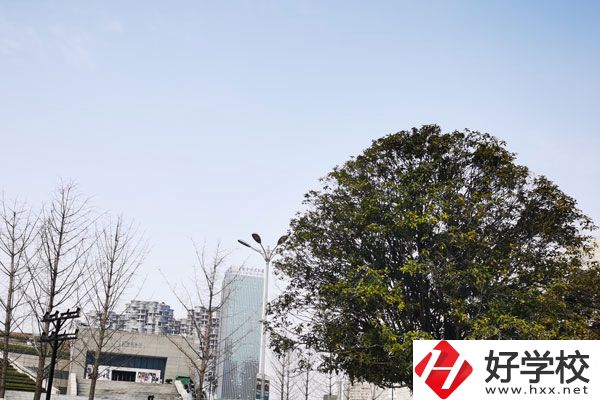 益陽科技工程學校有哪些專業(yè)？就業(yè)如何？