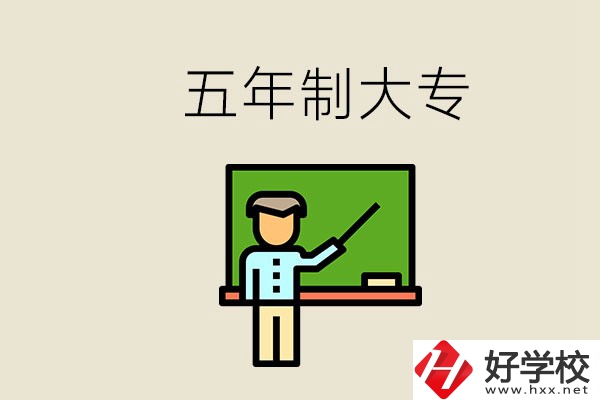 岳陽有哪些五年制大專？畢業(yè)了怎么發(fā)展？