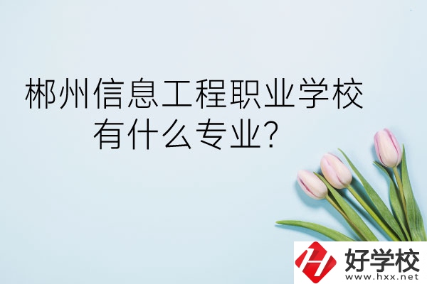 郴州信息工程職業(yè)學(xué)校有什么專業(yè)？