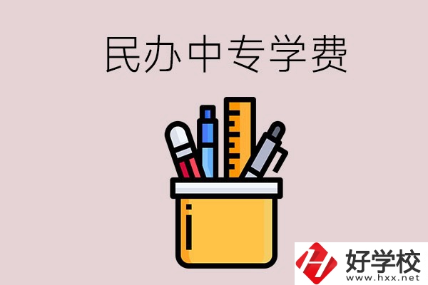 湘潭的民辦中專學(xué)校學(xué)費(fèi)多少錢一年？