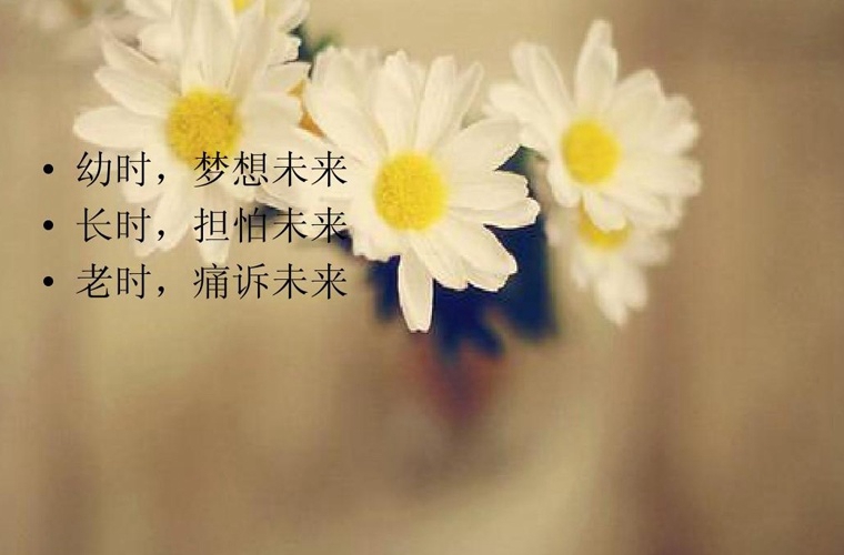 2020年貴州自考農(nóng)業(yè)經(jīng)濟(jì)管理(?？?專業(yè)計(jì)劃
