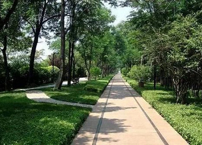廣東嶺南職業(yè)技術(shù)學院單招怎么樣(2024)