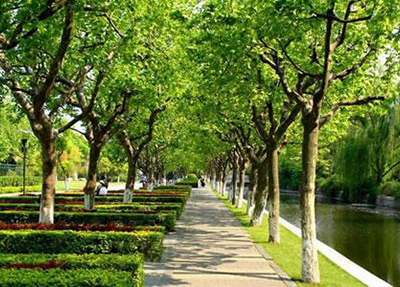 白城職業(yè)技術(shù)學(xué)院單招怎么樣(2024)