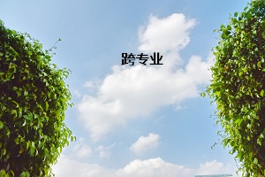 跨專(zhuān)業(yè)