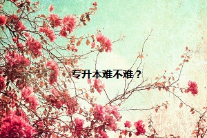專升本難不難？
