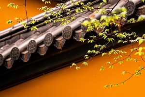 普通專升本備考的第一步是先擇校還是先選專業(yè)？