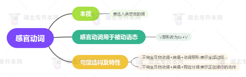 普通專升本英語(yǔ)要掌握多少種語(yǔ)法？25張思維導(dǎo)圖教會(huì)你！